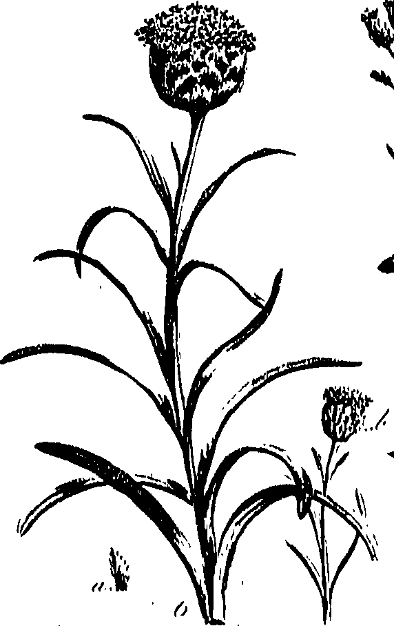 099/099300010300610_0.png