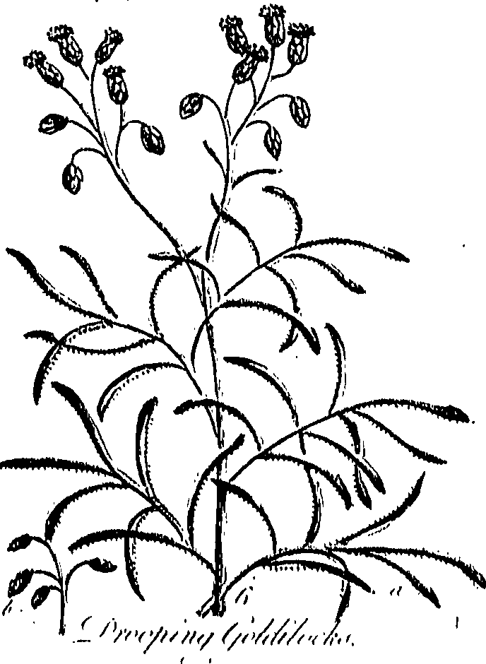 099/099300010300630_0.png
