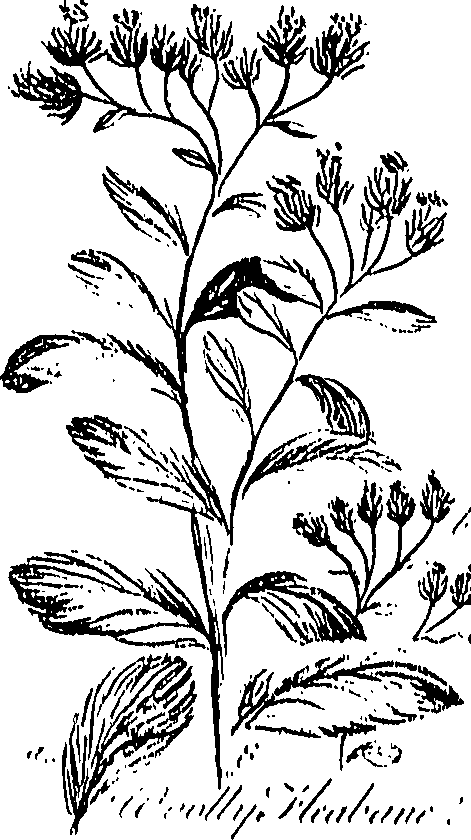 099/099300010300640_0.png