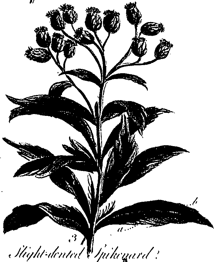 099/099300010300650_0.png