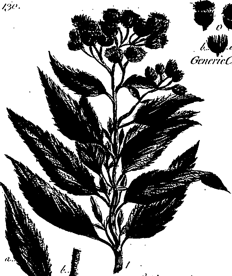 099/099300010300650_1.png