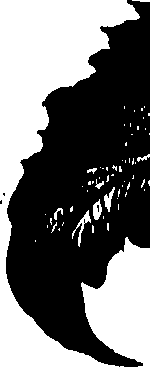 099/099300010300660_0.png