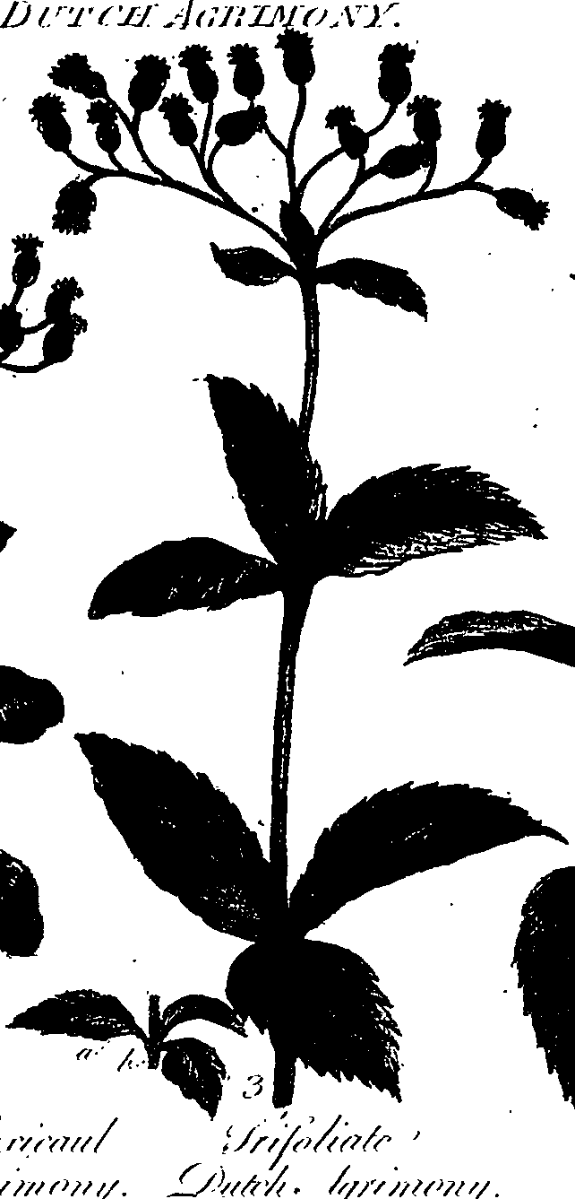 099/099300010300670_1.png
