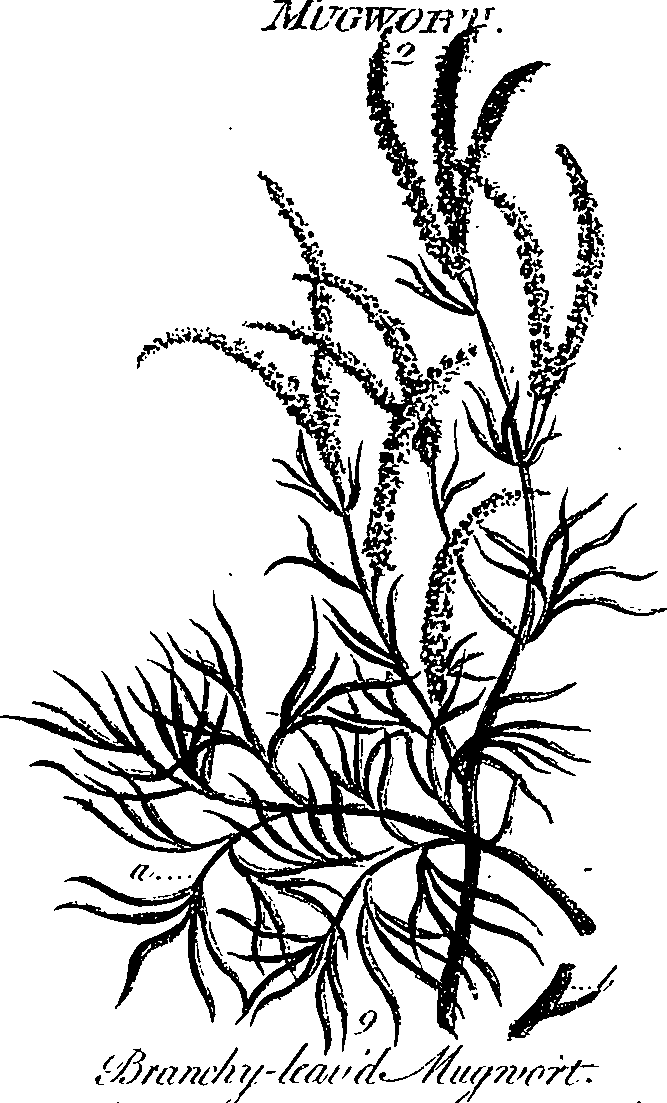 099/099300010300700_0.png