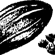 099/099300010300720_0.png