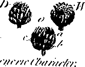 099/099300010300720_1.png