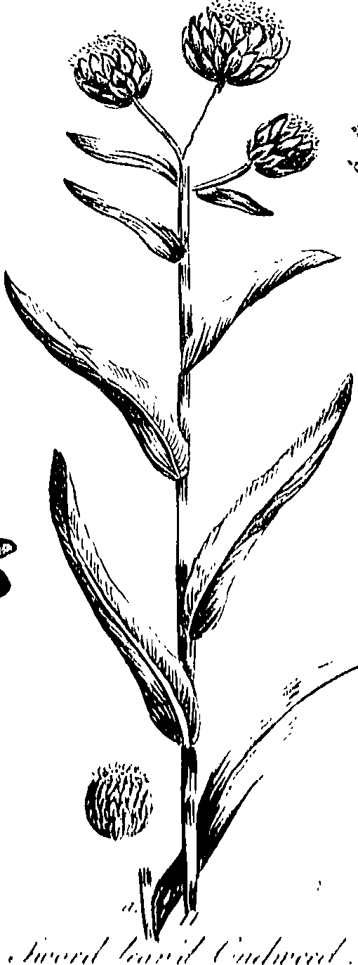 099/099300010300730_0.png