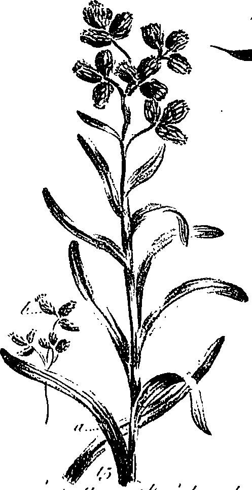 099/099300010300740_1.png