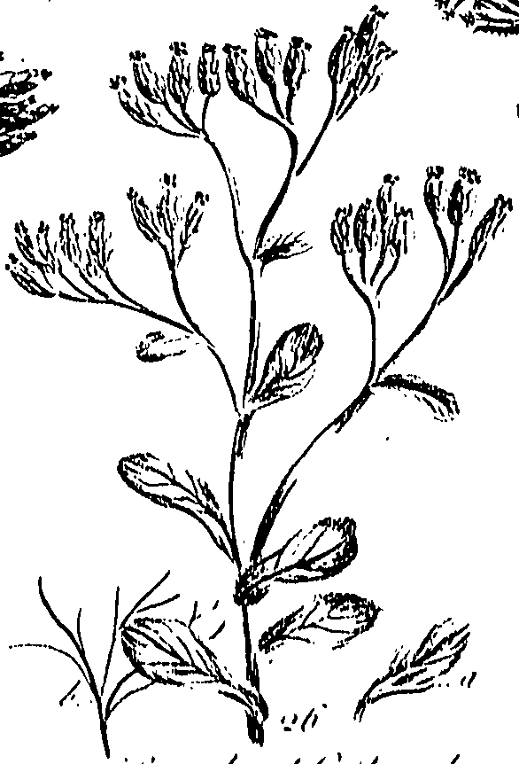 099/099300010300750_0.png