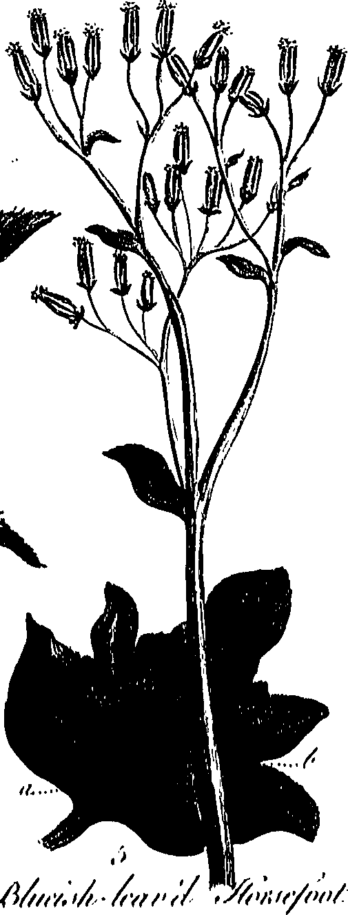 099/099300010300780_0.png