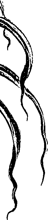 099/099300010300790_0.png