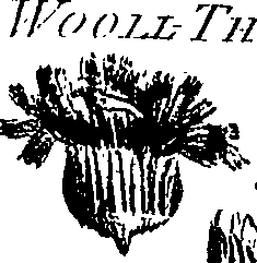 099/099300010300810_1.png