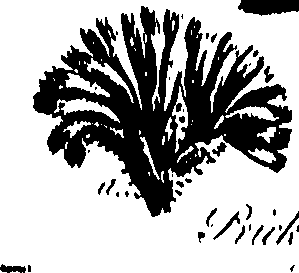 099/099300010300830_0.png