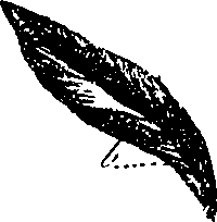 099/099300010300830_1.png