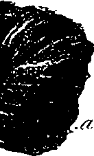 099/099300010300830_2.png