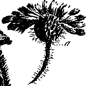 099/099300010300840_0.png