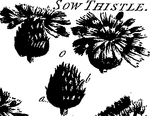 099/099300010300840_1.png