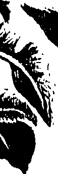099/099300010300850_0.png