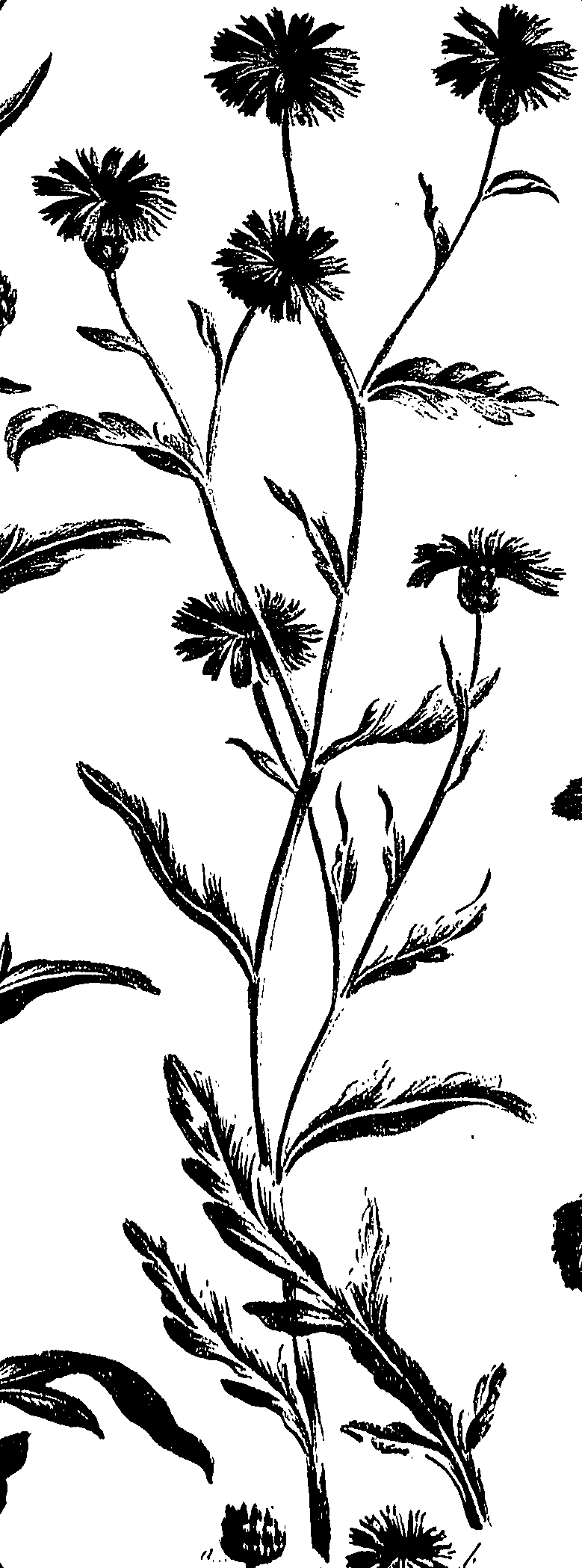 099/099300010300860_0.png