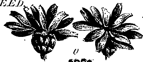 099/099300010300860_1.png