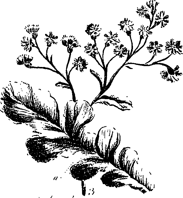 099/099300010300880_0.png