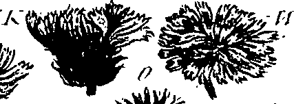 099/099300010300890_1.png