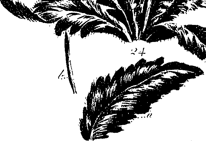099/099300010300930_0.png