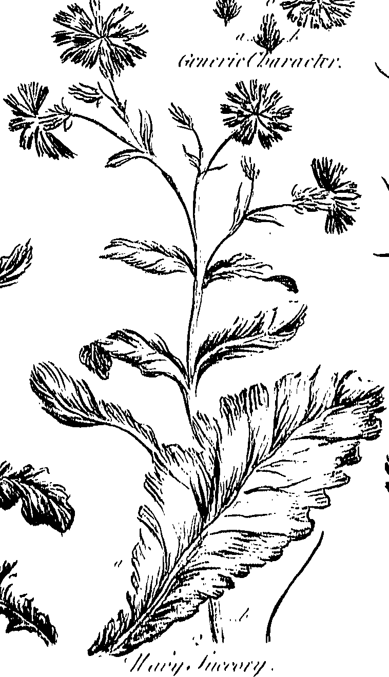 099/099300010300940_0.png