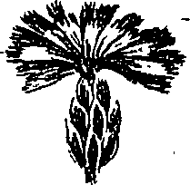 099/099300010300960_0.png