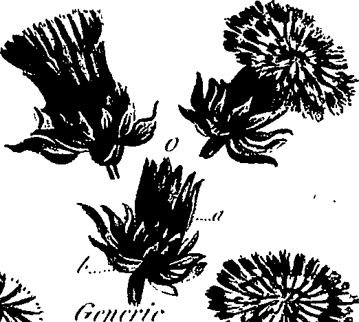 099/099300010300980_0.png