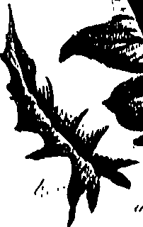 099/099300010300990_0.png