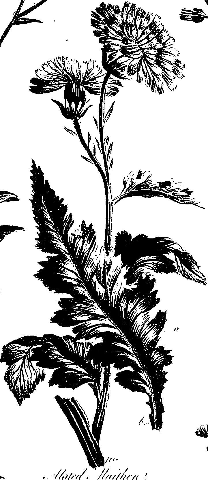 099/099300010301000_0.png