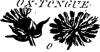 099/099300010301010_0.png