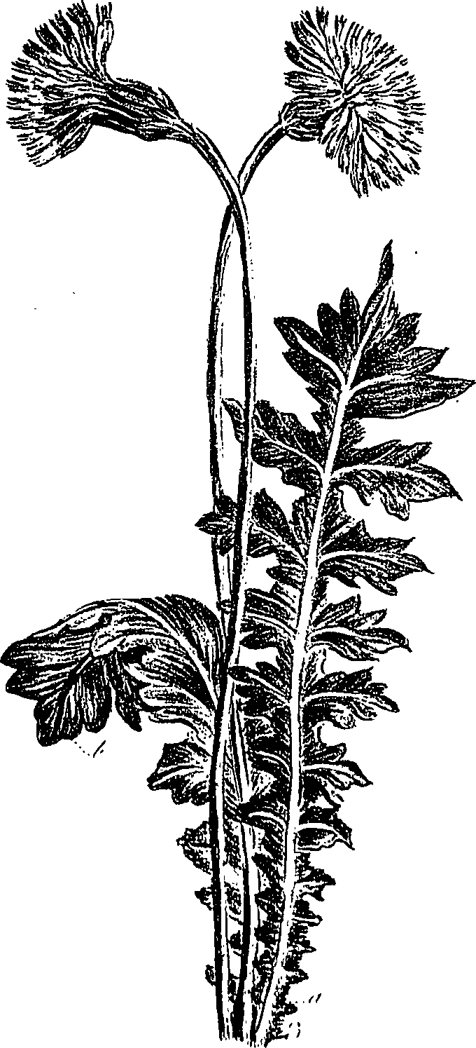 099/099300010301020_0.png