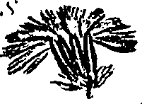 099/099300010301020_1.png