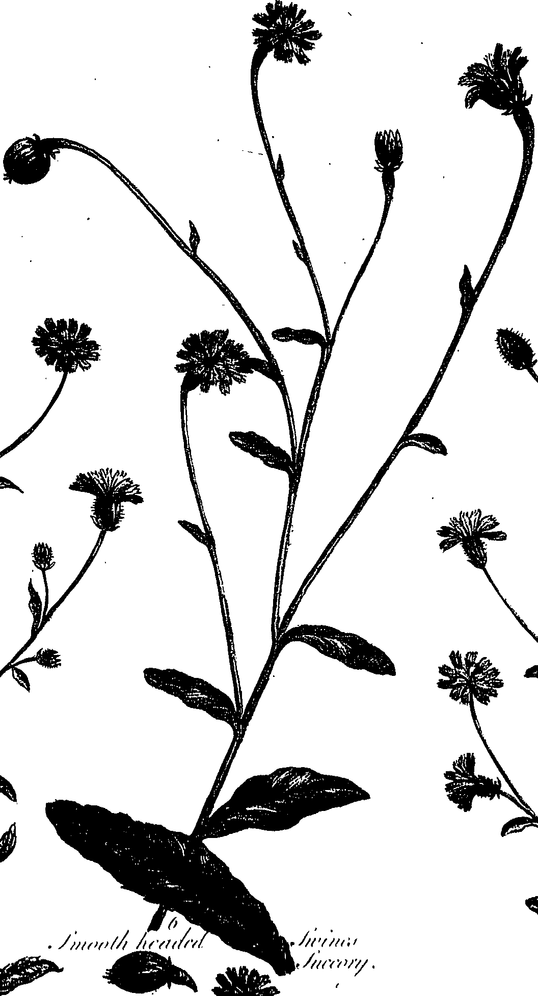 099/099300010301030_0.png