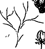 099/099300010301040_1.png