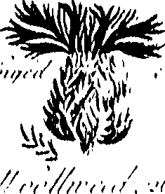 099/099300010400530_1.png
