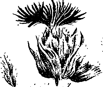 099/099300010400530_10.png