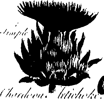 099/099300010400530_2.png