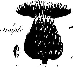 099/099300010400530_3.png