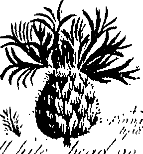 099/099300010400530_4.png