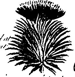 099/099300010400530_5.png