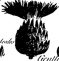 099/099300010400530_7.png
