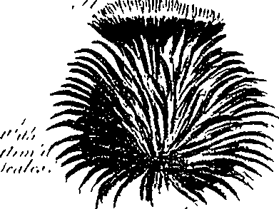 099/099300010400530_8.png