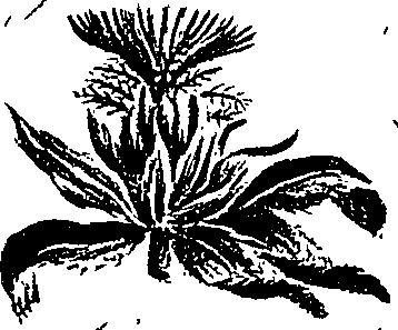 099/099300010400530_9.png