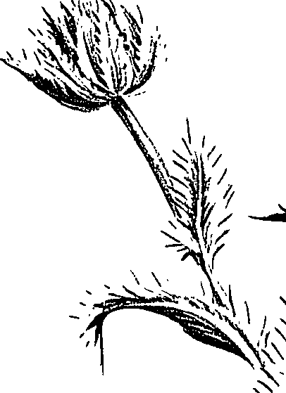 099/099300010400560_0.png