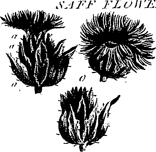 099/099300010400560_1.png