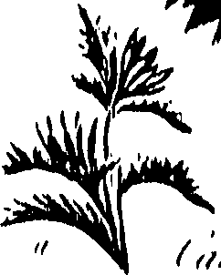 099/099300010400600_0.png