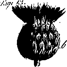 099/099300010400620_0.png
